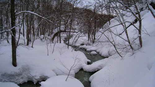 リベンジスノーハイク in SAHINA