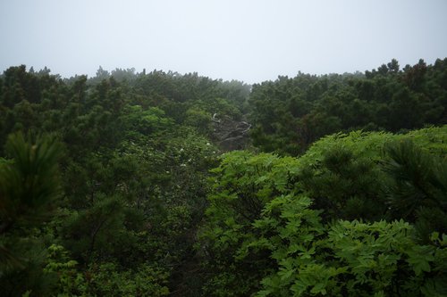 知床連山 世界遺産の上を歩く ep,2