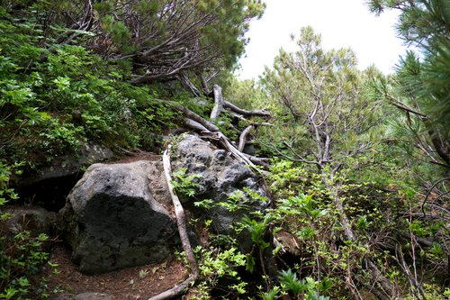 知床連山 世界遺産の上を歩く ep,2