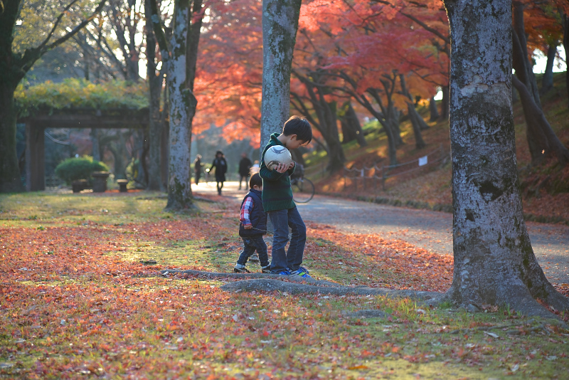 紅葉