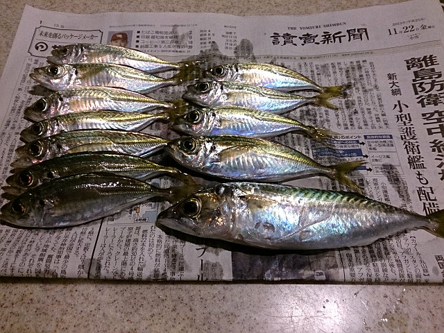 タチウオ撃沈&アジング