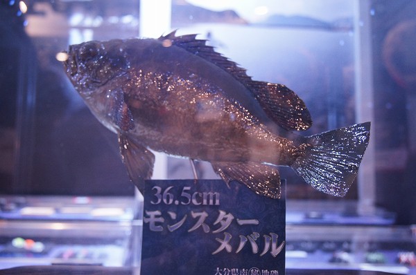 フィッシングショー大阪2012