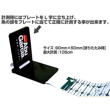 2013W初詣