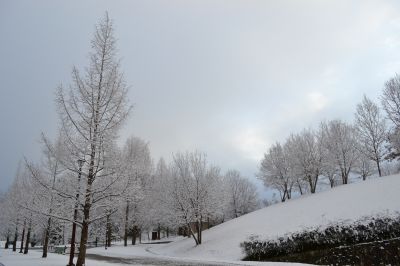 備北オートビレッジ・雪中キャンプ☆2011.12.23-25