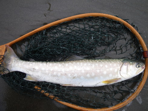 2010 北海道釣行記　NO2
