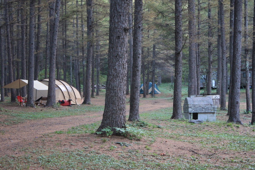 林間まったりキャンプ