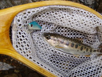 マジで!?【5月3日釣行記】