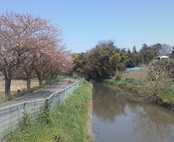 東京スカイツリー(～芝川、荒川～)