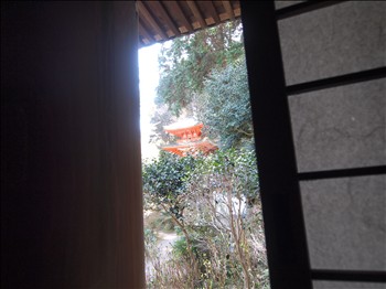 春を訪ねて ~ 月ヶ瀬・岩船寺 ~