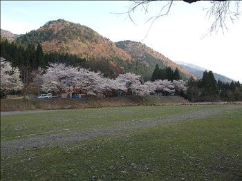 桜ツーリング