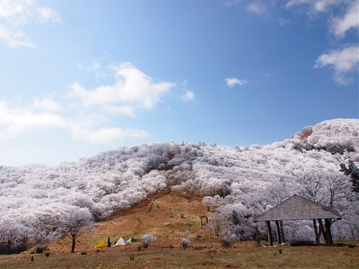MKH by ULCH in 明神平 ~ 春のお山は絶景でした ~