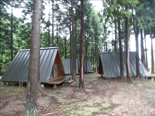 森のひとときキャンプパーク丹波