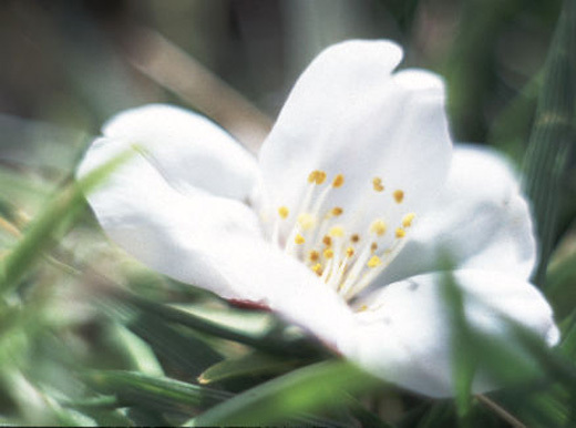 4月のご報告 ~ なんもないんですけど、、、 ~