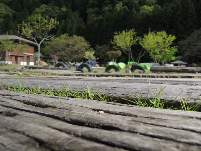 GWキャンプIN南光自然観察村①