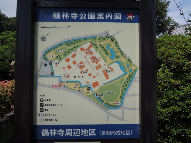 自由研究