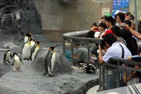 動物園とお花畑に感動^^