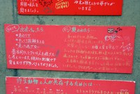 動物園とお花畑に感動^^