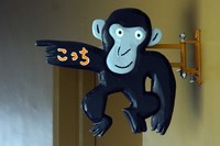 動物園とお花畑に感動^^