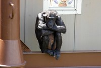 動物園とお花畑に感動^^