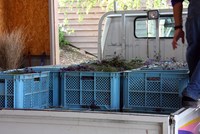 動物園とお花畑に感動^^