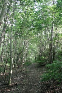 関西百名山　帝釈山登山