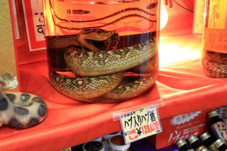 南の島へちょっとお出かけ・・・^^