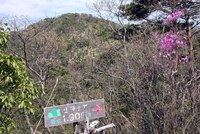 兵庫のふるさとの山 白山ハイク