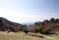 ふらりにぶらりと・・・。