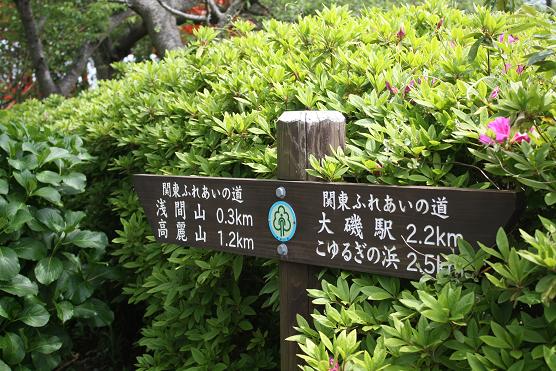 Mount of koma♪