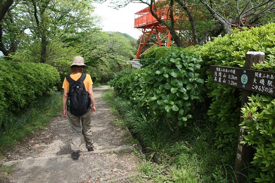 Mount of koma♪
