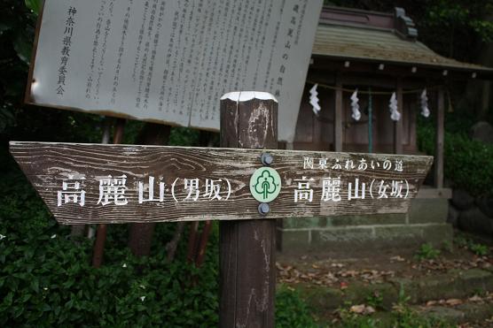 Mount of koma♪