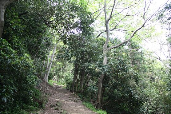 Mount of koma♪