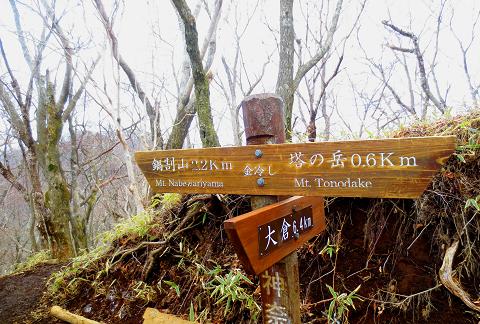 丹沢山を歩こう♪
