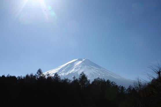 色々な形で・・・♪PICA富士吉田♪