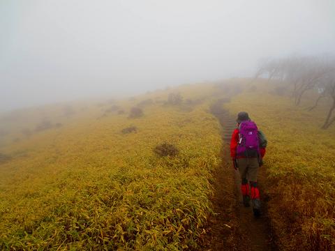 蛭ヶ岳を歩こう♪ 丹沢山~西丹沢