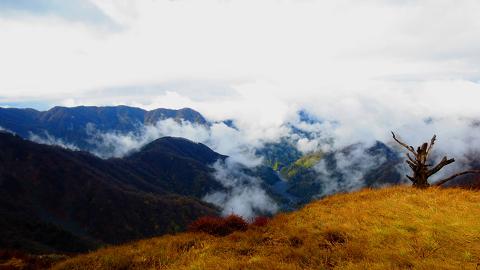 蛭ヶ岳を歩こう♪ 丹沢山~西丹沢