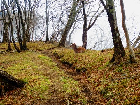 蛭ヶ岳を歩こう♪ 丹沢山~西丹沢