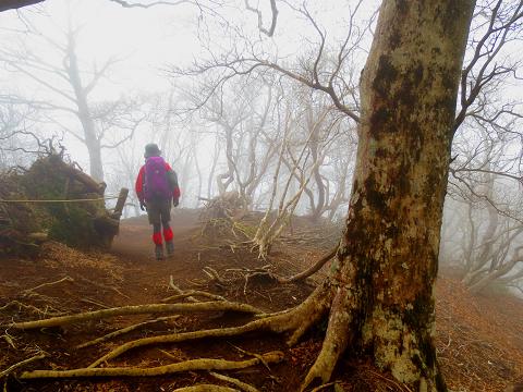 蛭ヶ岳を歩こう♪ 丹沢山~西丹沢