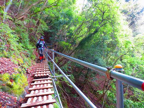 蛭ヶ岳を歩こう♪ 丹沢山~西丹沢