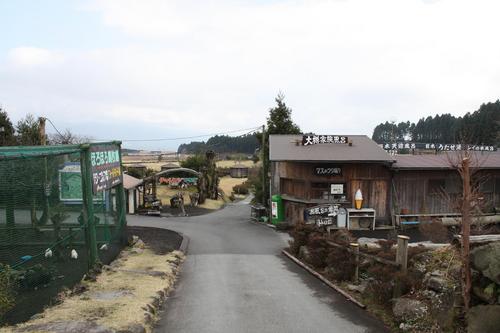 大野路ファミリーキャンプ場②