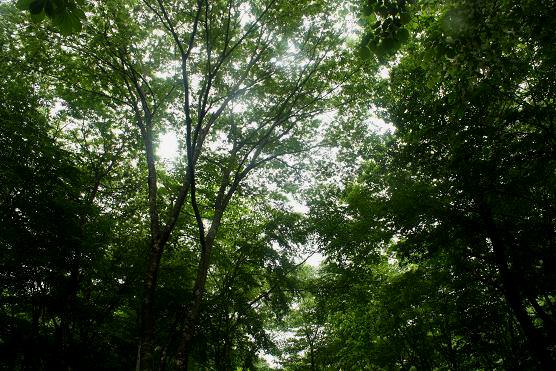快適キャンプ♪山伏オートキャンプ場♪