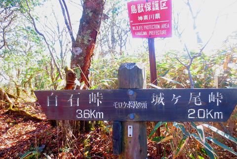西丹沢を歩こう♪ 畦ヶ丸♪