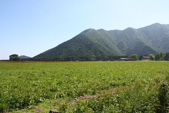 暑い涼しい♪富士A.Cふもと村♪