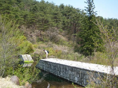 ふくしま県民の森 フォレストパークあだたら②