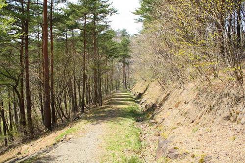 ふくしま県民の森 フォレストパークあだたら②
