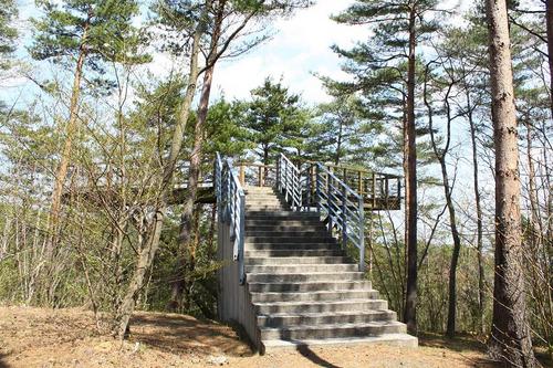 ふくしま県民の森 フォレストパークあだたら②