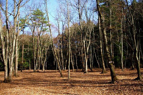 何もナイがアル♪PICA富士吉田♪