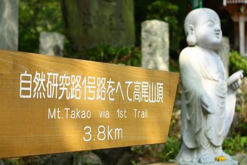 山登り♪