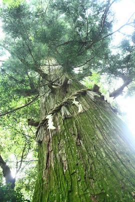山登り♪