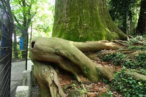 山登り♪